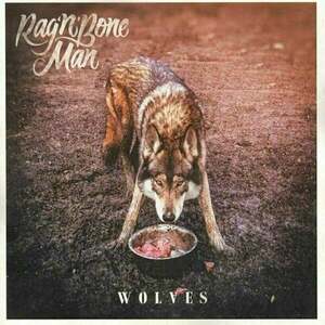 Rag'n'Bone Man - Wolves (LP) imagine