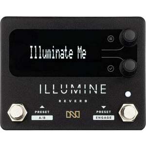 Neunaber Illumine Stereo Reverb Efect de chitară imagine