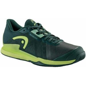 Head Sprint Pro 3.5 Clay Men Forest Green/Light Green 44, 5 Pantofi de tenis pentru bărbați imagine