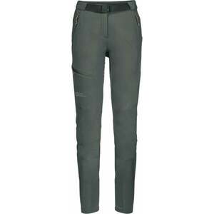 Jack Wolfskin Ziegspitz W Slate Green M Pantaloni imagine