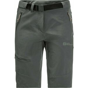 Jack Wolfskin Ziegspitz Shorts W Slate Green S-M Pantaloni scurți imagine