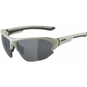 Alpina Lyron HR Cool/Grey Matt/Black Ochelari pentru sport imagine