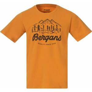 Bergans Classic V2 Tee Men Golden Field S Tricou imagine