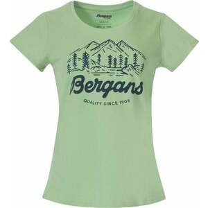 Bergans Classic V2 Tee Women Light Jade Green XL Tricou imagine