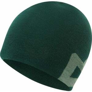 Mountain Equipment Branded Knitted Beanie Pine/Sage UNI Căciulă imagine