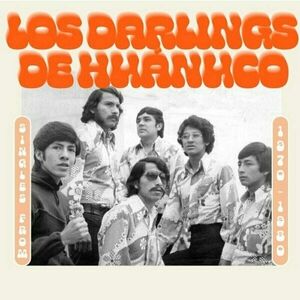 Los Darlings De Huanuco - Singles From 1970-1980 (LP) imagine