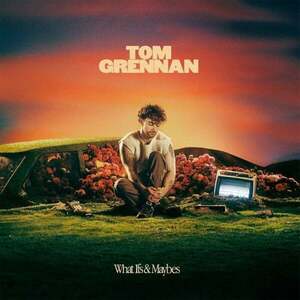 Tom Grennan - What Ifs & Maybes (LP) imagine