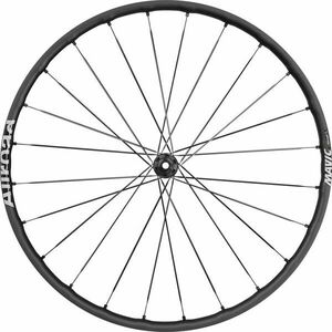 Mavic Allroad Sl 29" (622 mm) Disc rupt 12x100-15x100 Center Lock 22 mm Roata din fata imagine