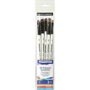 Daler Rowney Graduate Multi-Technique Brush Synthetic Set pensule 5 buc imagine