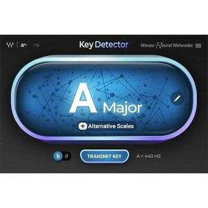 Waves Key Detector (Produs digital) imagine