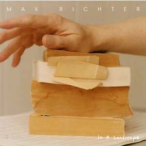 Max Richter - In A Landscape (2 LP) imagine