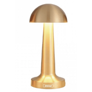 Lampa de birou portabila Gold ciupercuta Q TL142 Andowl imagine