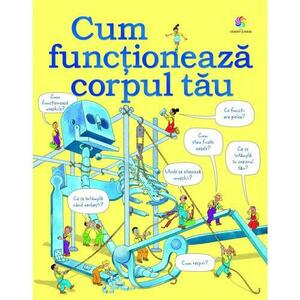 Cum functioneaza corpul tau imagine