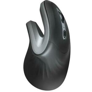 Mouse Wireless Trust Verro, Ergonomic, 1600 DPI (Negru) imagine