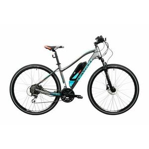 Bicicleta Electrica Corwin 28162, roti 28inch, cadru 450mm, 9 viteze, motor 250W, autonomie 60km, acumulator16.75 Ah (Gri) imagine