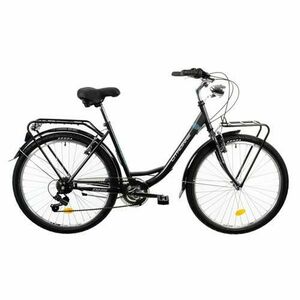 Bicicleta Oras Dhs Citadinne 2634, roti 26 Inch, cadru otel M, FranaV-Brake, 6 Viteze, Gri/Albastru imagine