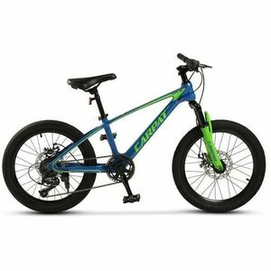 ﻿﻿Bicicleta Copii MTB Carpat Hiro C20342A, roti 20inch, Albastru/Verde imagine