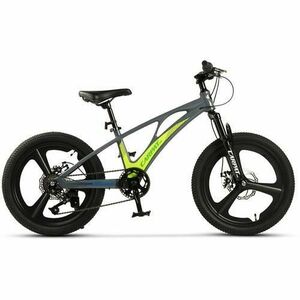 ﻿﻿Bicicleta Copii MTB Carpat C20343A, roti 20inch, Gri/Verde imagine