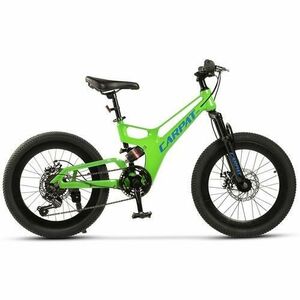 Bicicleta Copii MTB-FS Carpat C20344A, roti 20inch, Verde/Albastru imagine