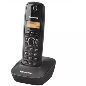 Telefon DECT Panasonic KX-TG1611FXF Negru imagine