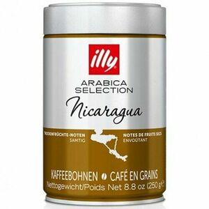 Cafea boabe Illy Monoarabica Nicaraqua, 250g imagine