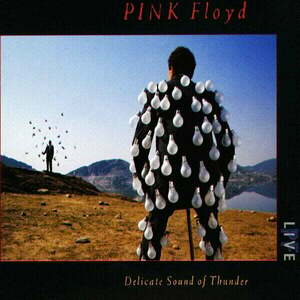 Pink Floyd - Delicate Sound Of Thunder (2 CD) imagine