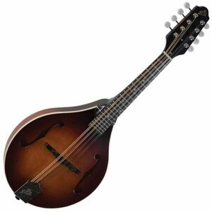 The Loar LM-110 Brownburst Mandolină imagine