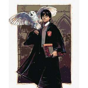 Zuty Picturi pe numere Harry Potter și Hedwig la Hogwarts imagine