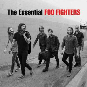 Foo Fighters - The Essential Foo Fighters (2 LP) imagine