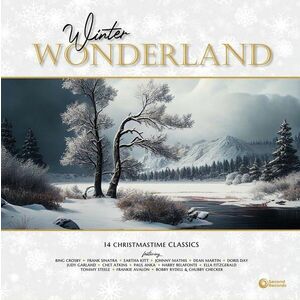 Various Artists - Winter Wonderland (LP) imagine