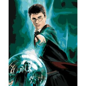 Zuty Picturi pe numere Poster Harry Potter și Ordinul Phoenix - Harry imagine