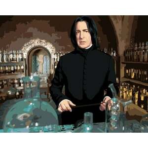 Zuty Picturi pe numere Severus Snape la clasa de poțiuni (Harry Potter) imagine