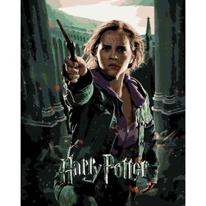 Zuty Picturi pe numere Poster Harry Potter și Talismanele Morții - Hermione imagine