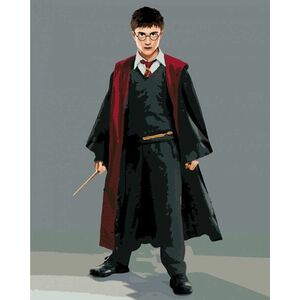 Zuty Picturi pe numere Harry Potter într-un obicei cu o baghetă imagine