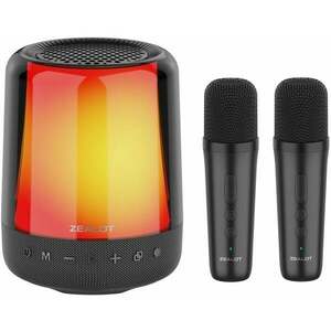 Zealot S66M Sistem pentru karaoke imagine