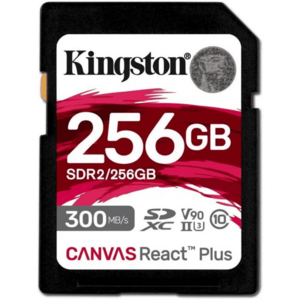 Card de memorie, Kingston, SD, 256 GB, SDXC, Clasa 10, Negru imagine