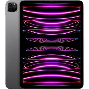 Tableta Apple iPad Pro 11 (2022), Procesor Apple M2 Octa-Core, IPS LED Capacitive touchscreen 11inch, 2TB Flash, 16GB, Camera Duala 12+10 MP, Wi-Fi, Bluetooth, iPadOS (Gri) imagine