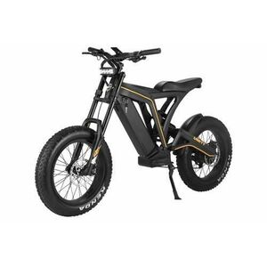 Scuter electric VSETT Eagle, Motor 750W, Viteza maxima 40km/h, autonomie 80km, baterie 48V/20Ah, roti 20inch, franare pe disc (Negru) imagine