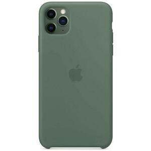 Protectie Spate Apple MX012ZM/A pentru iPhone 11 Pro Max (Verde) imagine