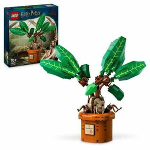 LEGO® Harry Potter™ - Matraguna 76433, 579 piese imagine