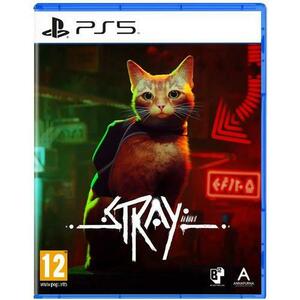 Joc Stray pentru PlayStation 5 imagine