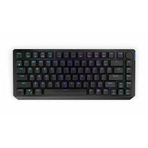 Tastatura Mecanica Thock 75% Wireless, iluminare RGB, Bluetooth, Switch Kailh Box Black, Layout US (Negru) imagine