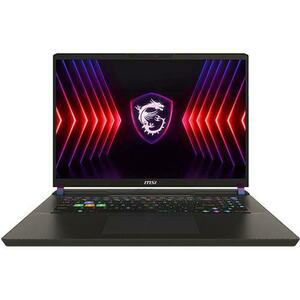 Laptop Gaming MSI Vector 17 HX A14VIG (Procesor Intel® Core™ i9-14900HX (36M Cache, up to 5.80 GHz), 17inch QHD+ 240Hz, 32GB, 1TB SSD, NVIDIA GeForce RTX 4090 @16GB, DLSS 3.0, Negru/Gri) imagine