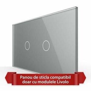 Panou Intrerupator Simplu + Simplu cu Touch LIVOLO din Sticla, Standard Italian - 4M (Gri) imagine