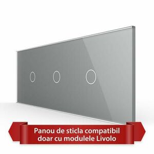 Panou Intrerupator Simplu + Simplu + Simplu cu Touch LIVOLO din Sticla, Standard Italian - 6/7M (Gri) imagine