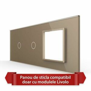 Panou Intrerupator Simplu + Simplu cu Priza LIVOLO din Sticla, Standard Italian - 6/7M (Auriu) imagine