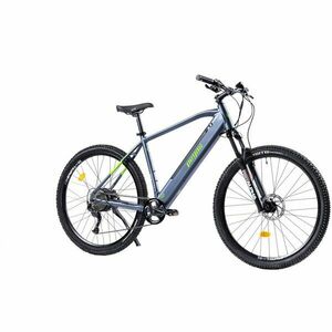 Bicicleta Pegas Drumet Dinamic L 29 inch, Gri Verde imagine