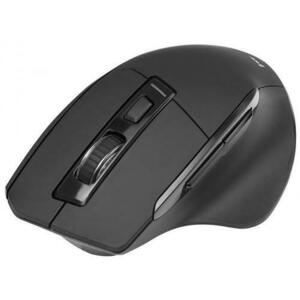 Mouse Wireless Tracer Cozy RF, Wireless, 800/1200/1600 DPI, 2.4 GHz (Negru) imagine