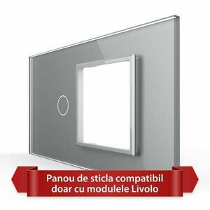 Panou Intrerupator Simplu cu Priza LIVOLO din Sticla, Standard Italian - 4M (Gri) imagine