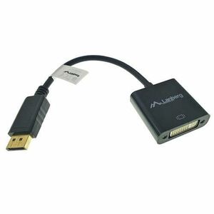 Adaptor DisplayPort - DVI -D imagine